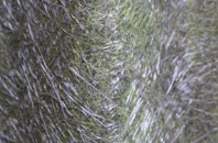 Marthall fibreglass roof work